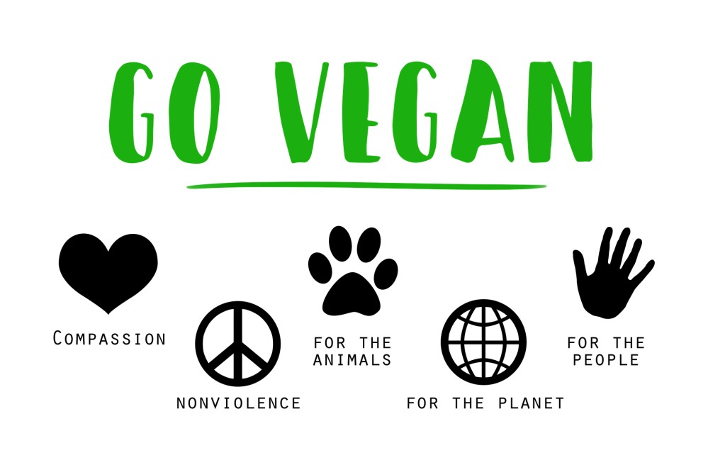 go vegan tierrechte tierschutz veganer leben